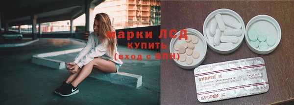 мяу мяу мука Алзамай