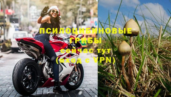 спиды Алексеевка