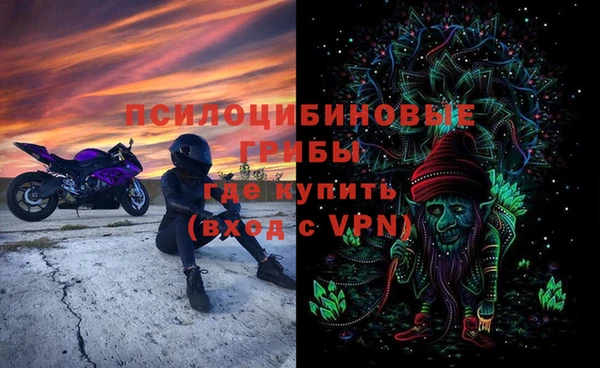 спиды Алексеевка